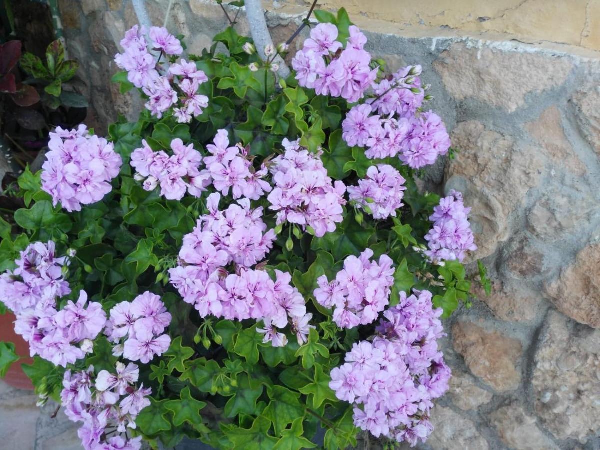 Alojamiento Rural Masia Valldeperez 람폴라 외부 사진