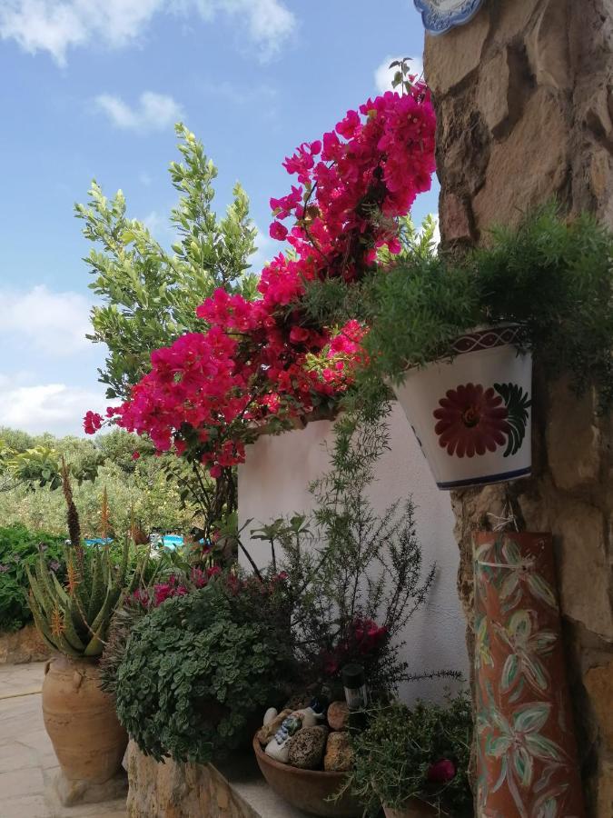 Alojamiento Rural Masia Valldeperez 람폴라 외부 사진